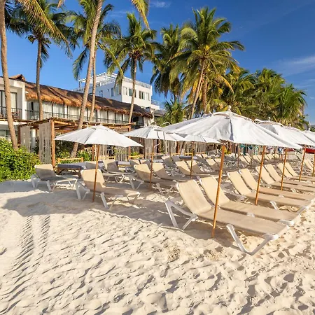 Areia Playa Del Carmen - Beach Front Hotel Boutique